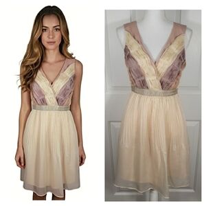 NWT Ryu Intricately Beaded V Neck Chiffon Dress Pleated Dusty Rose Mauve & Cream